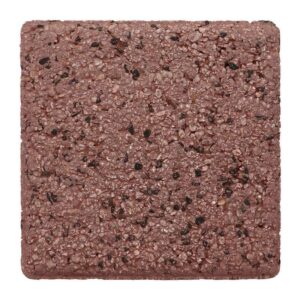 บล็อกปูพื้น รุ่น ลากูน่า มัลดีฟ พอรัส  10x20x6 ซม. สี เรดคอรัล